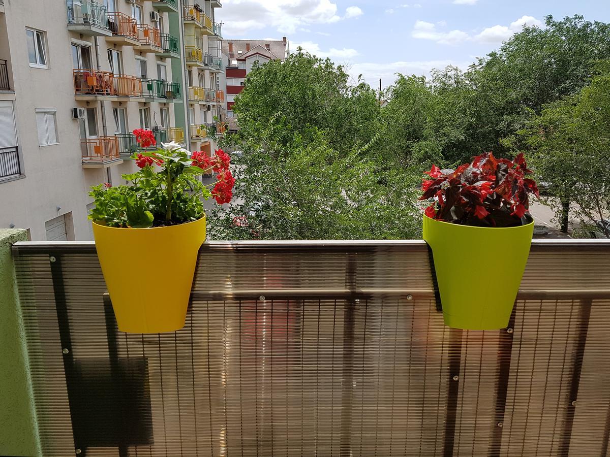 Apartman Boska Subotica Exterior photo